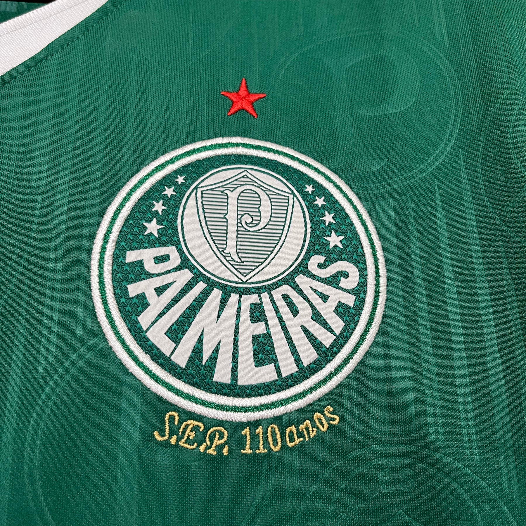 Camisa Palmeiras I 24/25 Puma