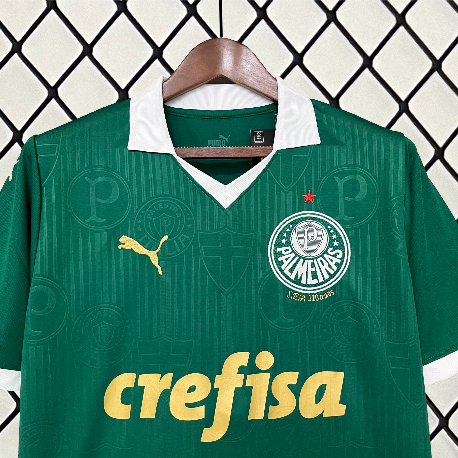 Camisa Palmeiras I 24/25 Puma