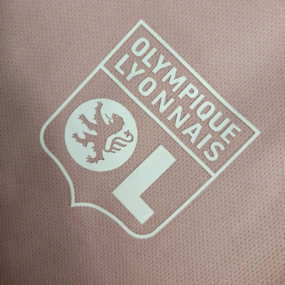 Camisa de treino Lyon 23/24 Rosa